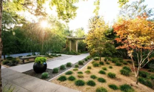 Landscaping