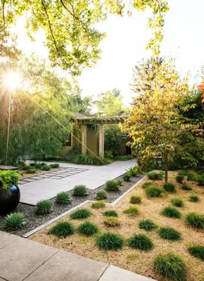 Landscaping